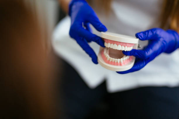 Why Choose Us for Your Dental Needs in Channel Lake, IL